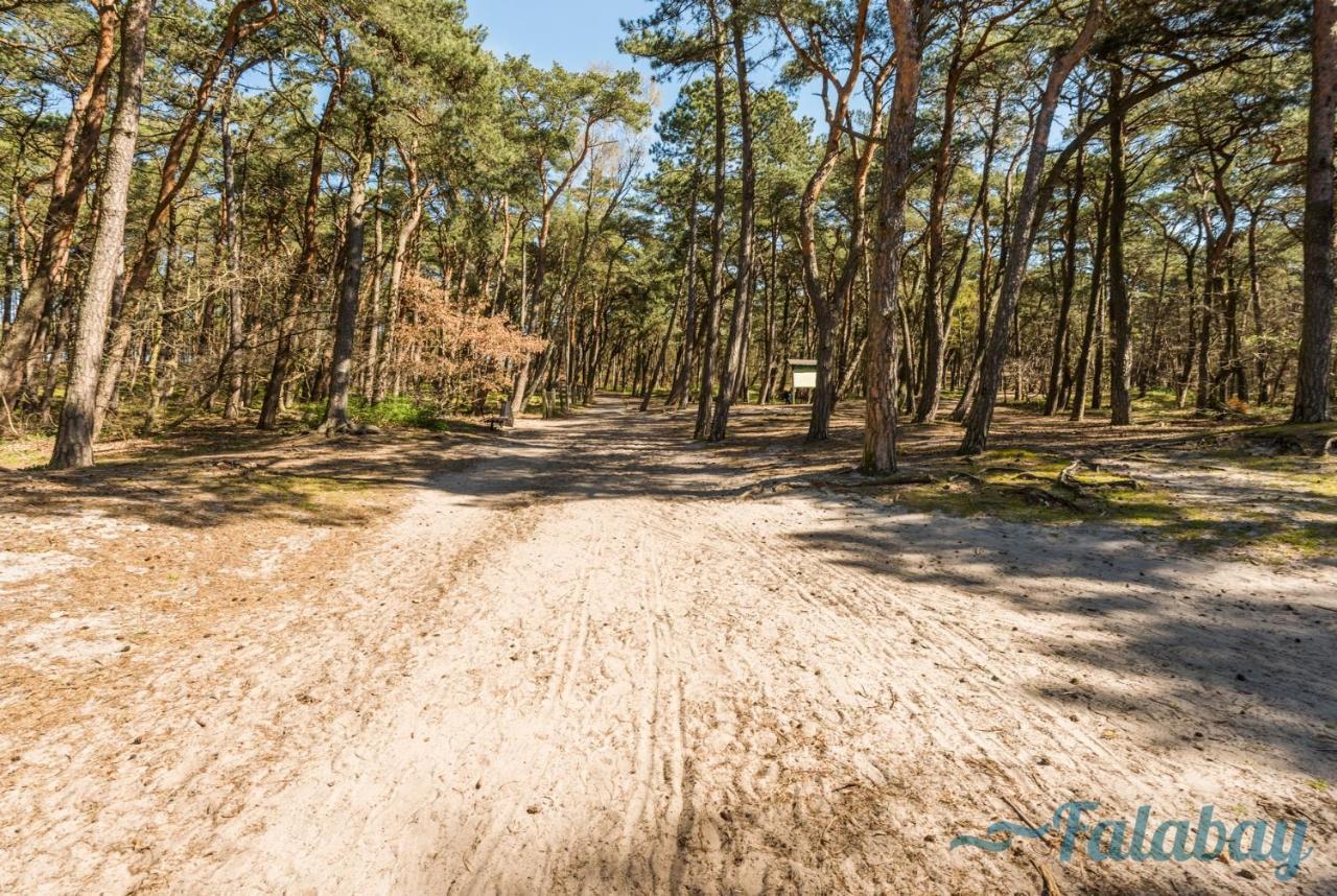 Villa Domki Falabay Karwieńskie Błoto Exterior foto